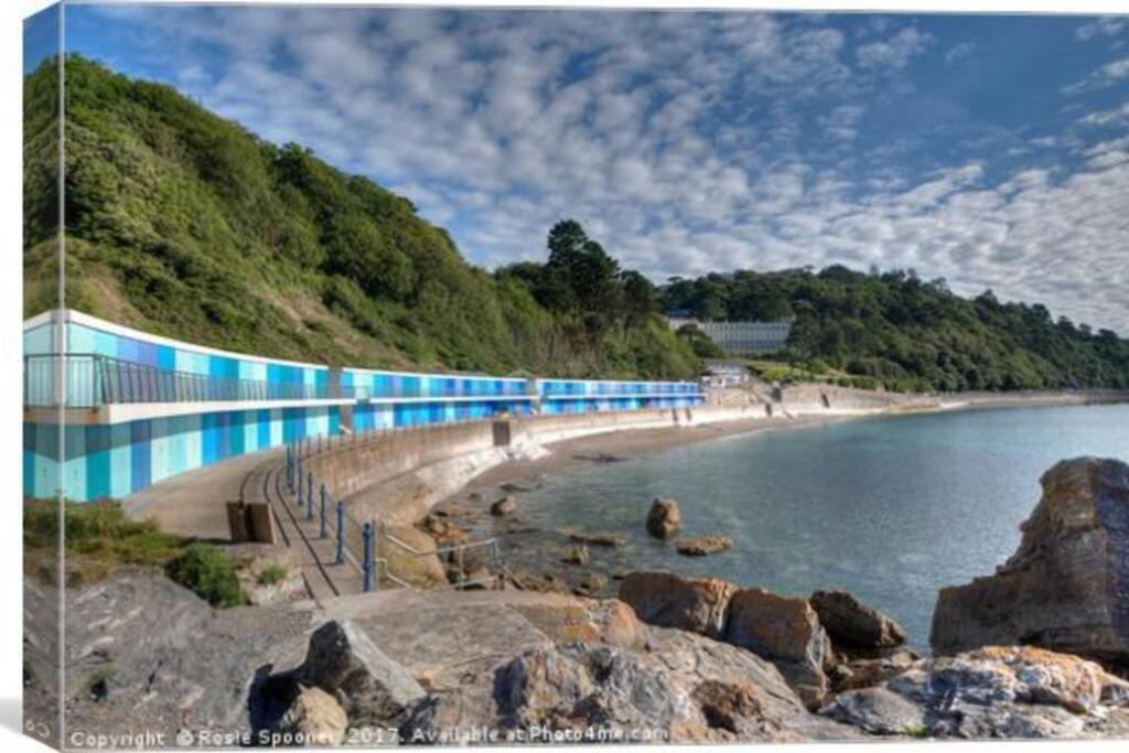 **Sunny And Bright, Thatchers Rock One Bed Beach Front Apartment*** Torquay Extérieur photo